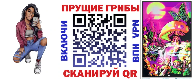 blacksprut ссылка  Каргат  Псилоцибиновые грибы Psilocybe 